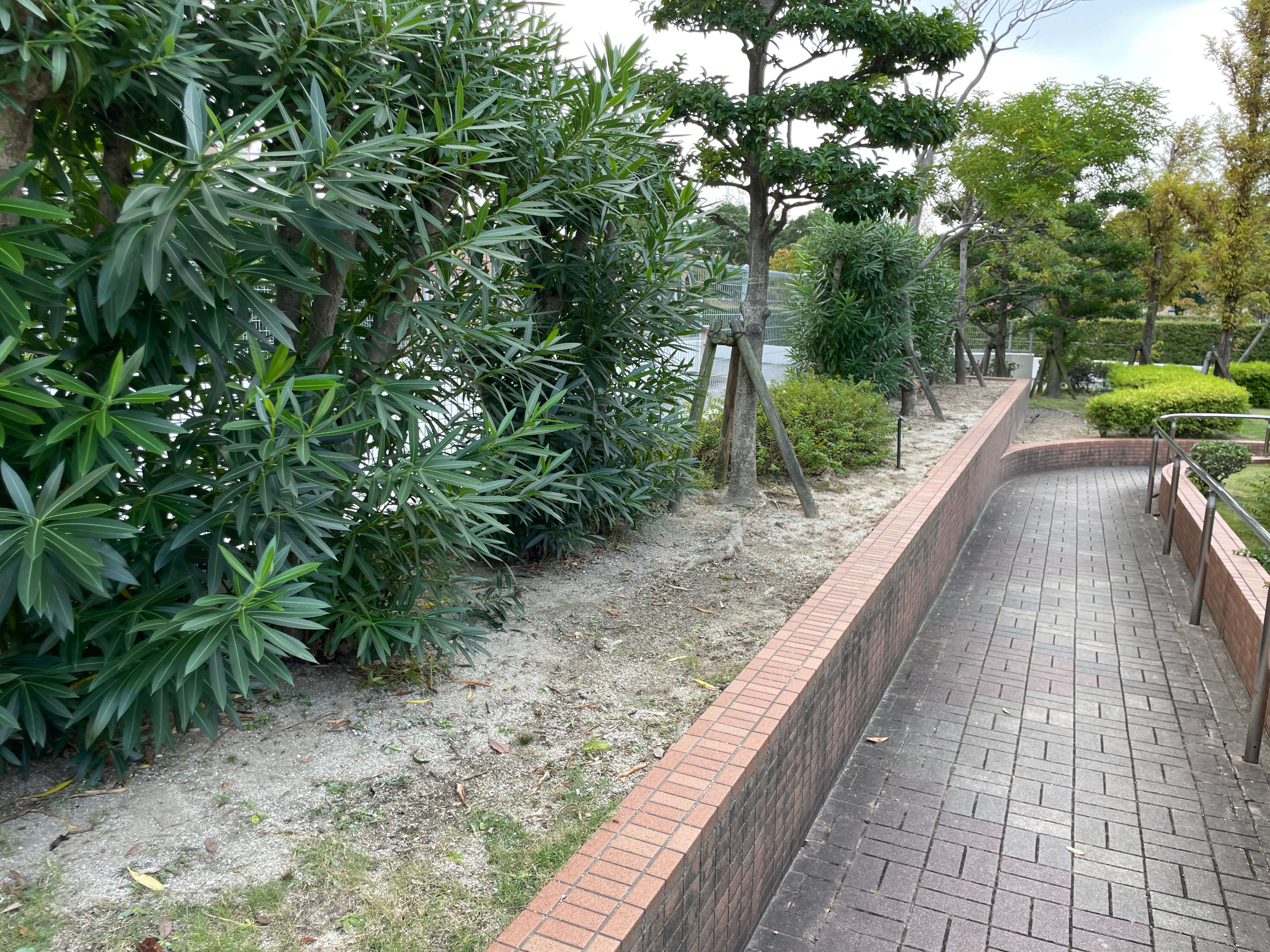 Before